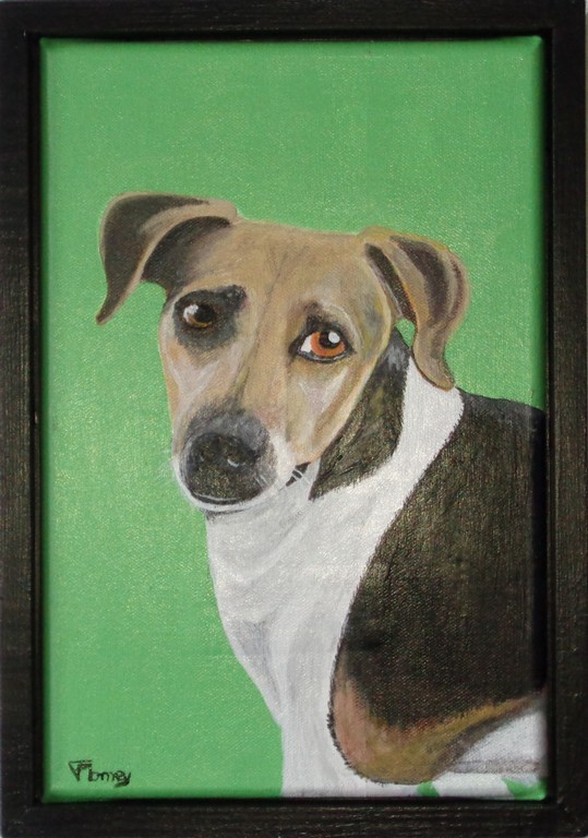 A Chien1024x768